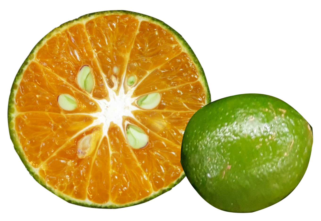 Calamansi